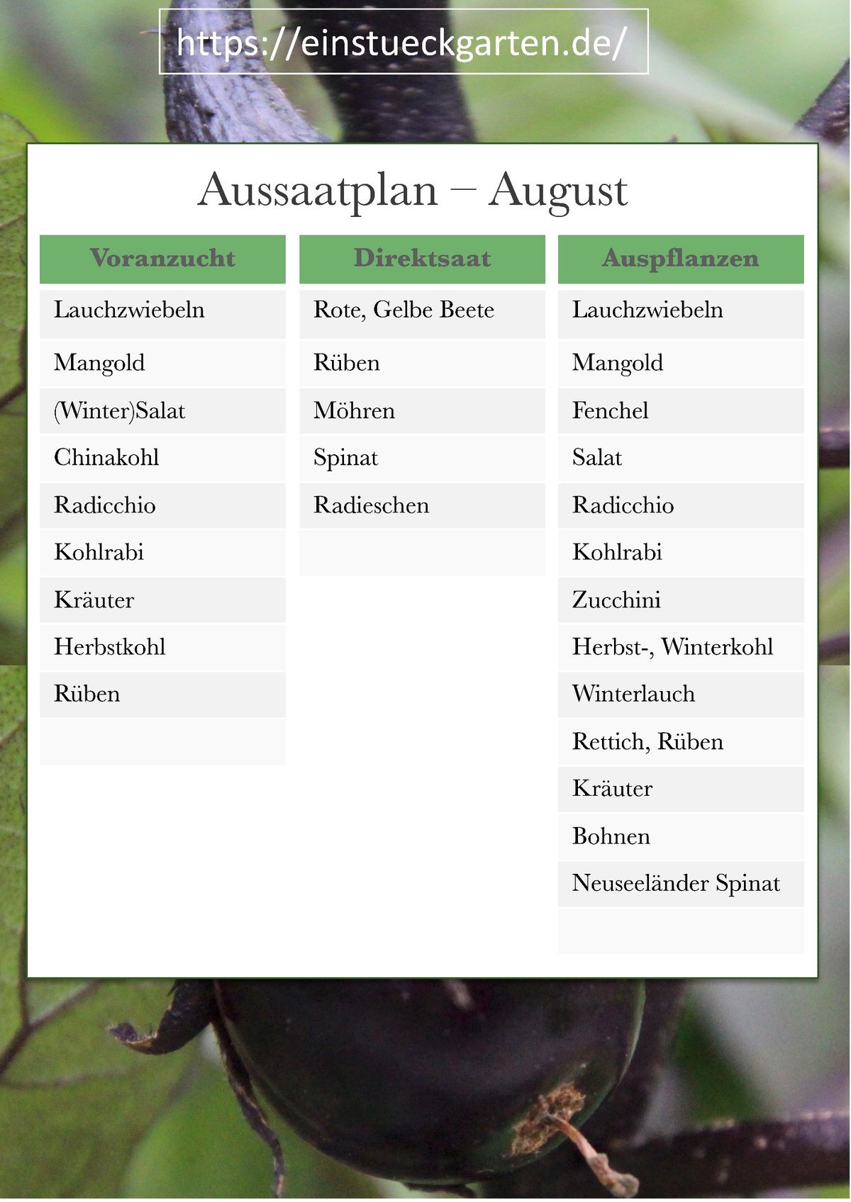 Aussaat im August