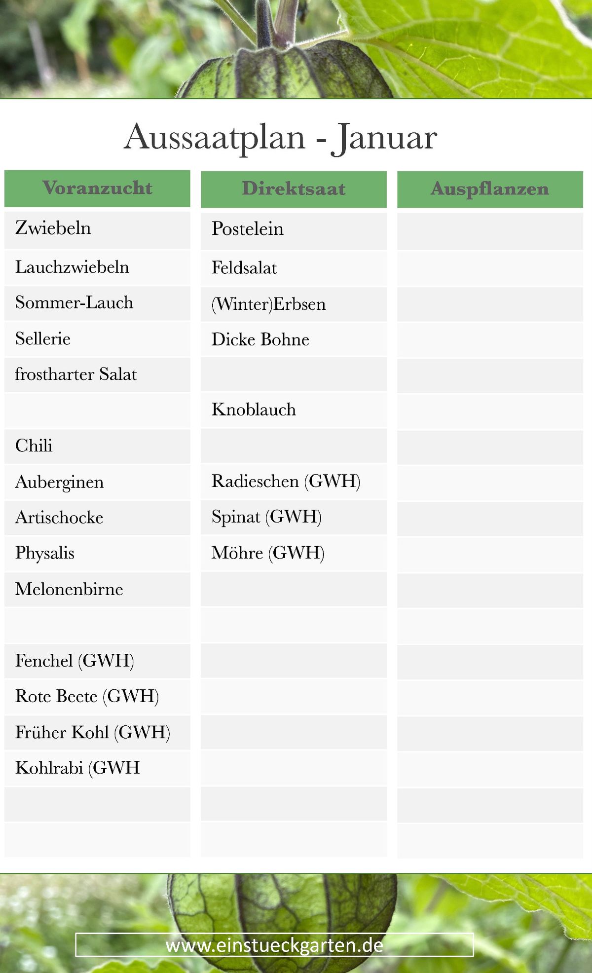 Aussaatkalender Januar Gemüse zum frühen Vorziehen und Pflanzen
